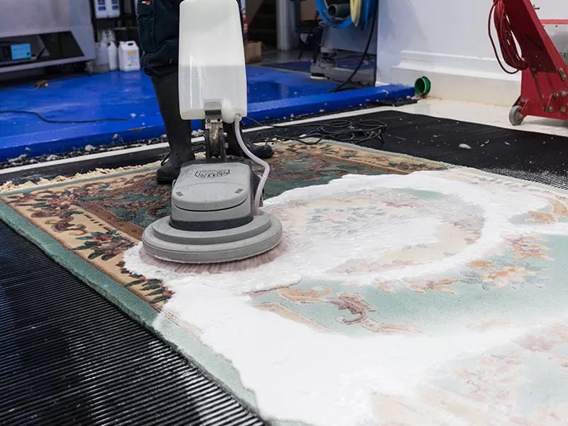 Carpet Shampoo Guide | Benefits, Types, Cleaners & Maintenance Tips