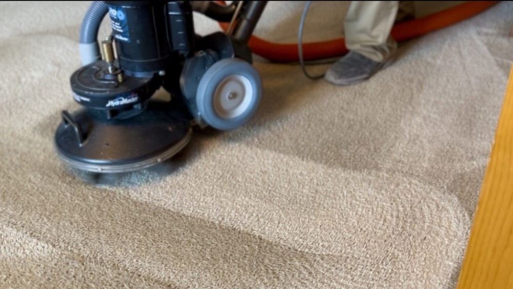 Carpet Deep Cleaning Processes