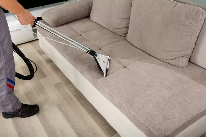 carpet cleaning, steam cleaner, cleaning services, upholstery cleaner