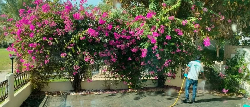 Clean Your Garden tiles