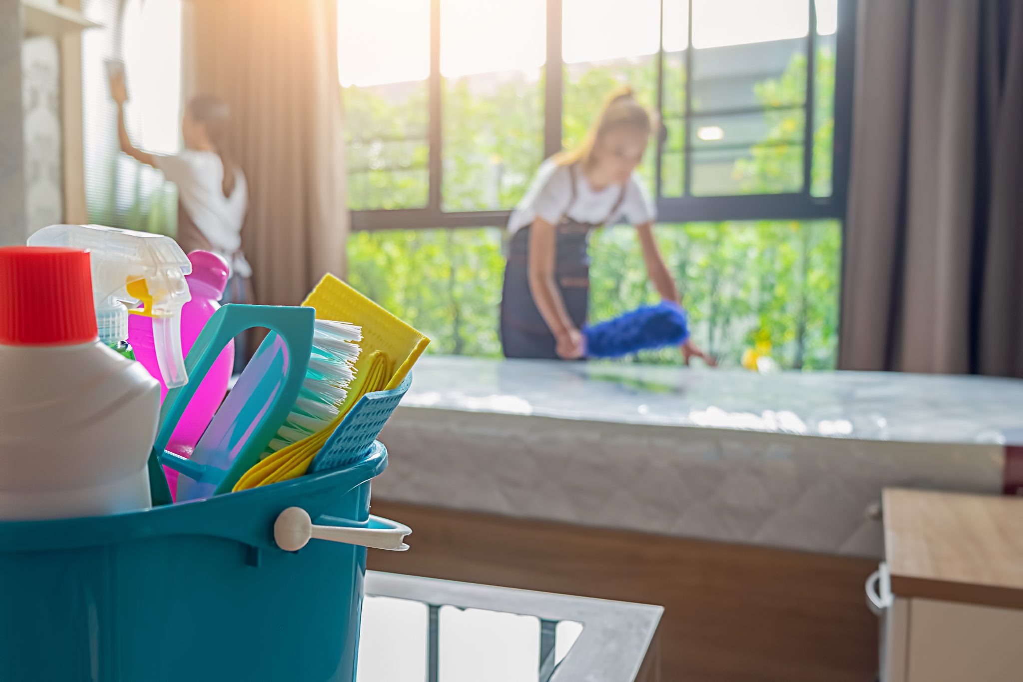 professional cleaning companies