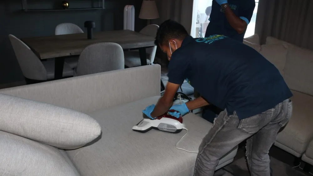 sofa cleaning services