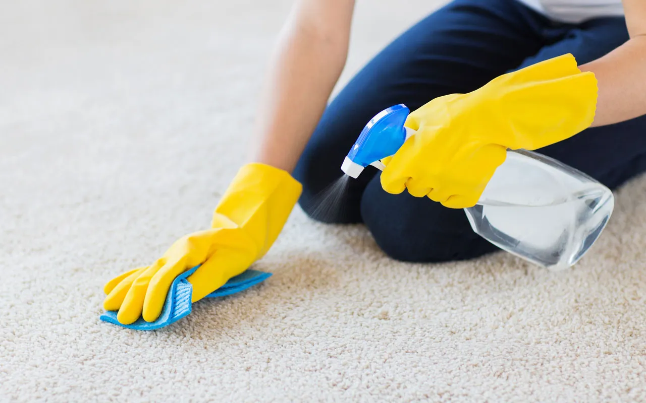 carpet deep cleaner