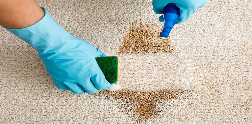 How to Clean Carpet at Home - Easy DIY Guide 2025