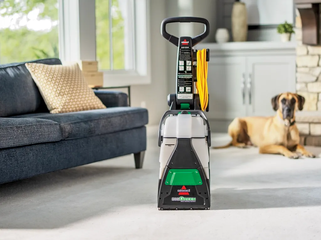 green carpet cleaning