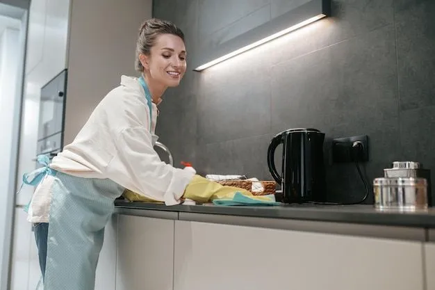 https://dubaiclean.com/cleaning-Top 5 Cleaning Challenges for Dubai Homeowners