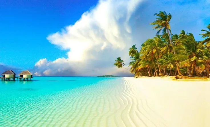 Does Dubai Have Nice Beaches? Explore the Best Beach Spots in Dubai

