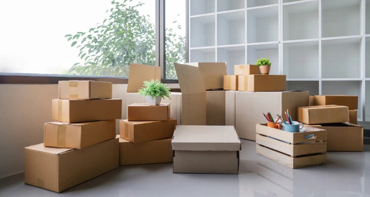 Professional team providing packing and moving services with labeled boxes and moving equipment

