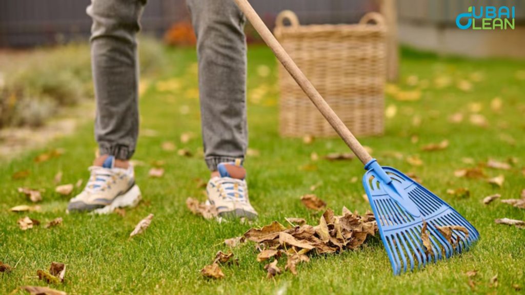 Artificial Grass Cleaning tools
