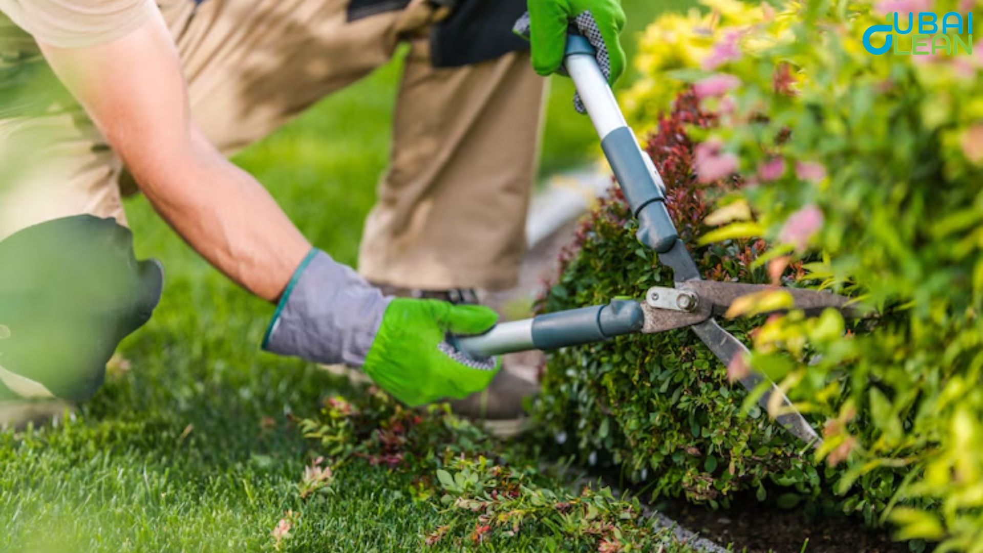 Garden Cleaning 