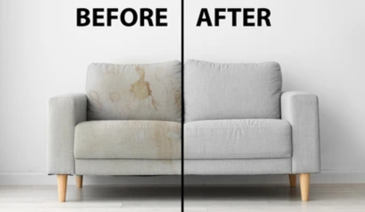 Will Sofa Cleaning Remove Mold in Dubai? | Dubai Clean
