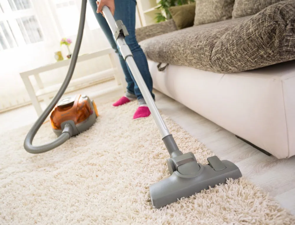 How to Clean Mold from Carpet in Dubai: Expert Tips & Techniques
