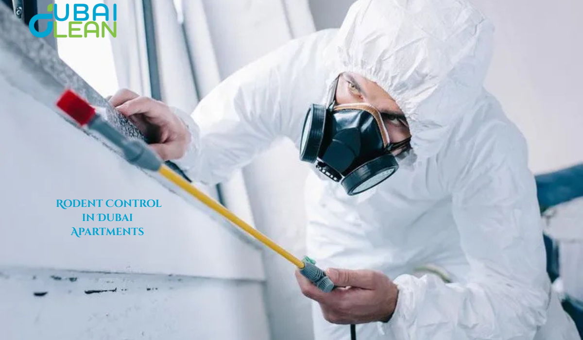 Affordable Rodent Control Services for Dubai Apartments | DubaiClean
