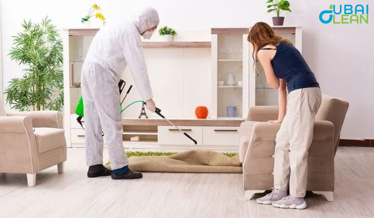Affordable Rodent Control Services for Dubai Apartments | DubaiClean
