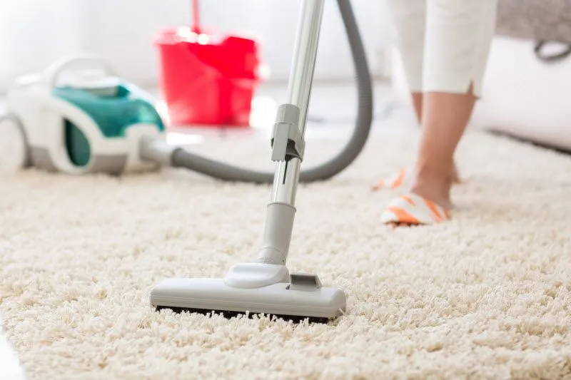 How to Clean Mold from Carpet in Dubai: Expert Tips & Techniques