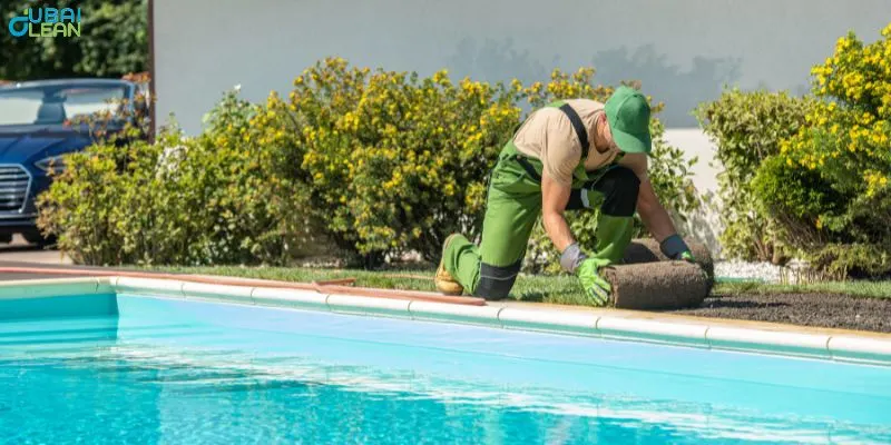  swimming pool cleaning in dubai keep your pool pristine 