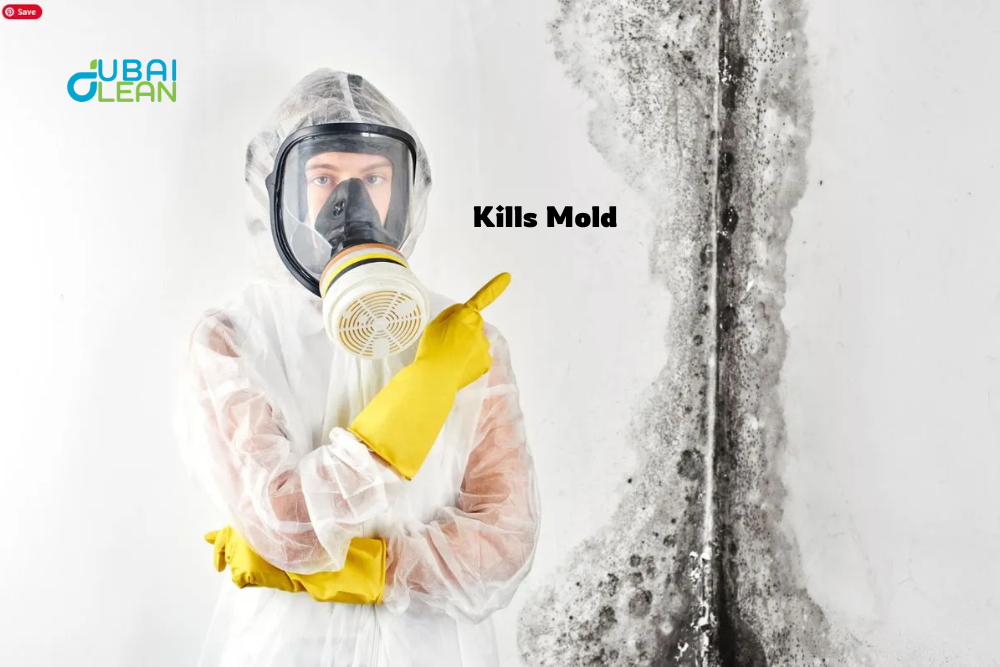 What Kills Mold Permanently? Effective Mold Removal in Dubai
