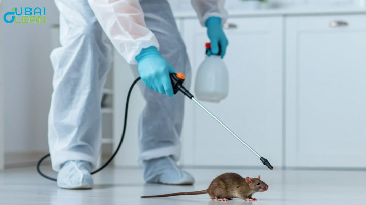 rodent pest control 