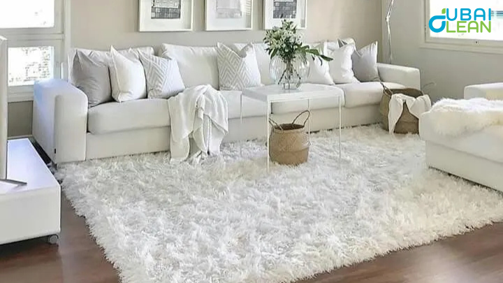 Top Carpet Cleaning Services in Dubai | Professional Care