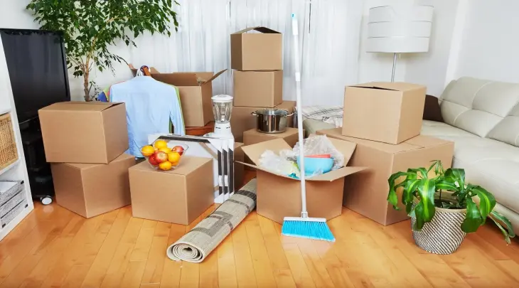 move in out deep cleaning dc