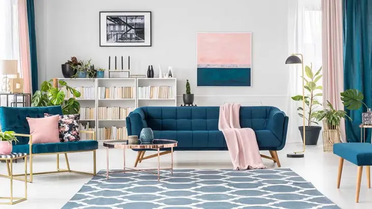 apartment upholstery deep cleaning dcs