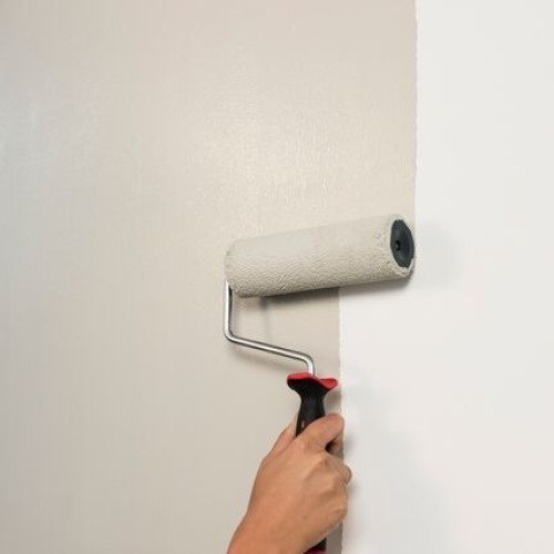 antifungal wall painting