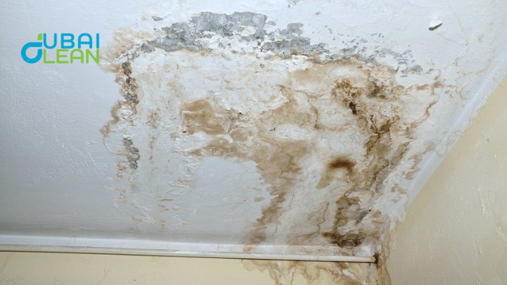  Kitchen Ceiling Repair Dubai