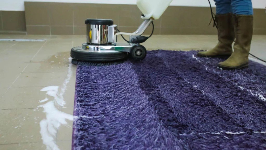carpet shampoo service