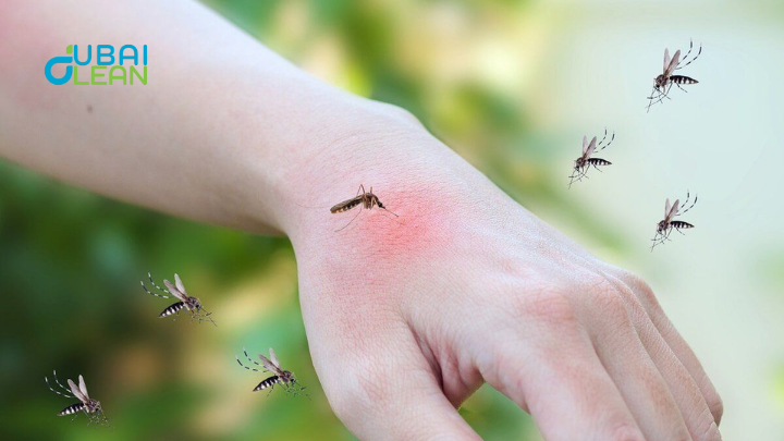 Mosquito Control Dubai