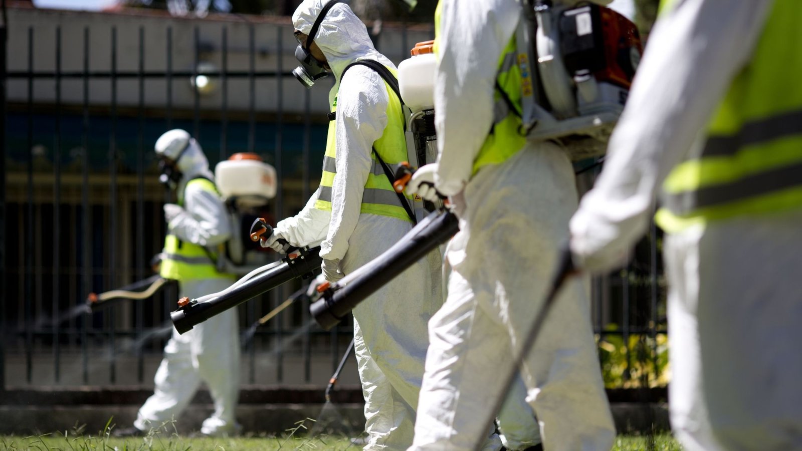 Discover the best pest control services in Abu Dhabi. Learn about top companies, pest risks, and why DubaiClean is your trusted partner for a pest-free space!