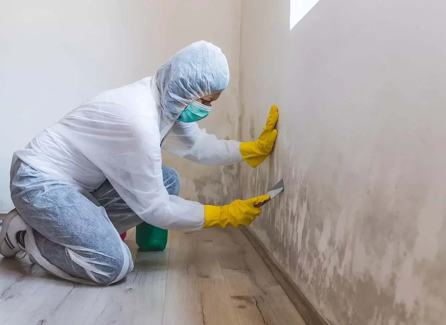 mould cleaning services in dubai