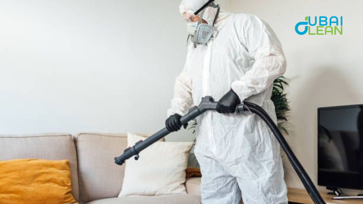 How to Get Rid of Cockroaches in Dubai?