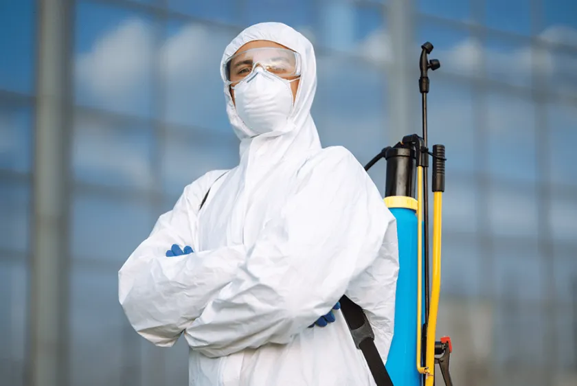 pest control services in dubai