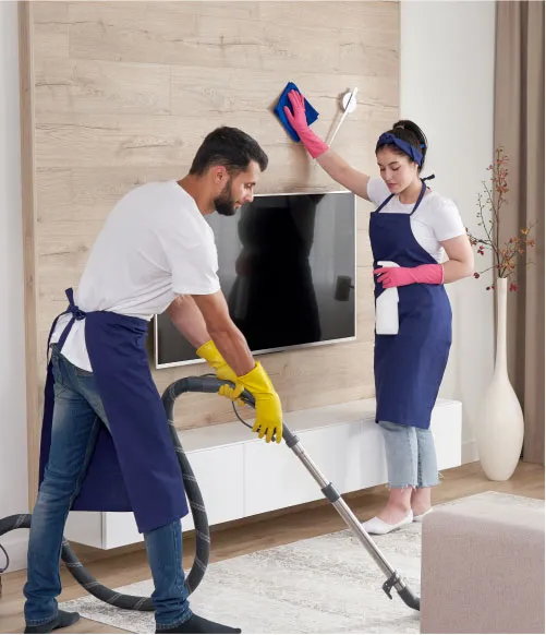 professional cleaning services