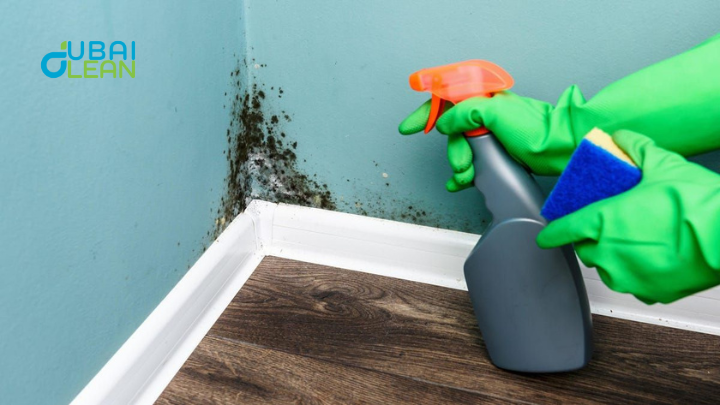 Professional Mold Cleaning Services Dubai
