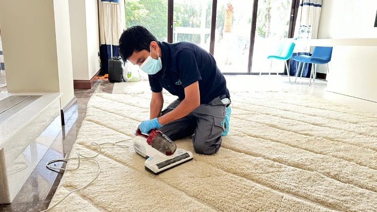 Is It Worth Getting the Carpets Deep Cleaned? 10 Major Reasons