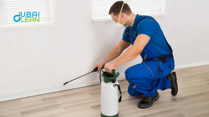 4 Most Effective Pest Control Solutions
