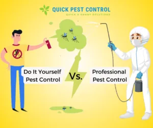 How Much Does Pest Control Cost in Dubai?