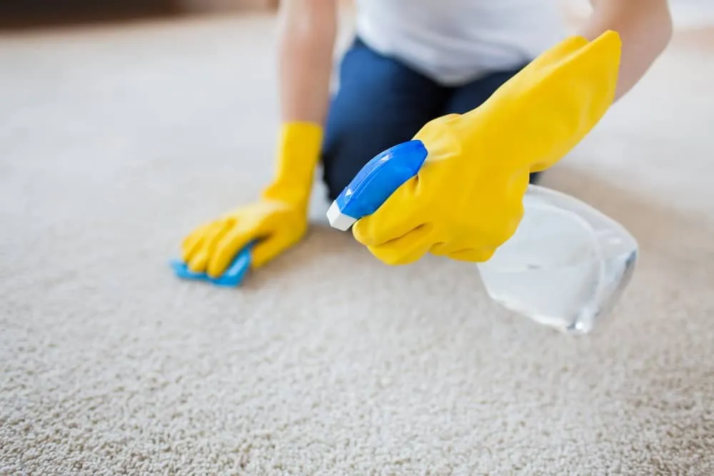 eco friendly carpet cleaning