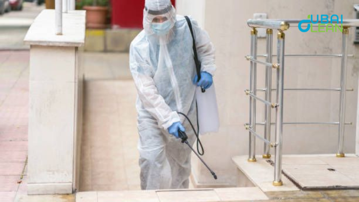 Emergency Pest Control in Dubai