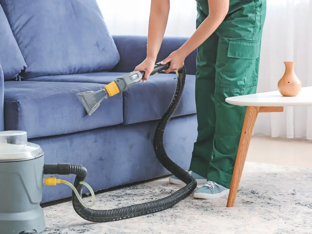 fabric sofa cleaner
