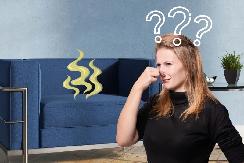 how to clean a couch that smells
