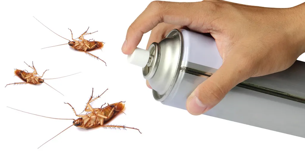 how to permanently get rid of cockroaches
