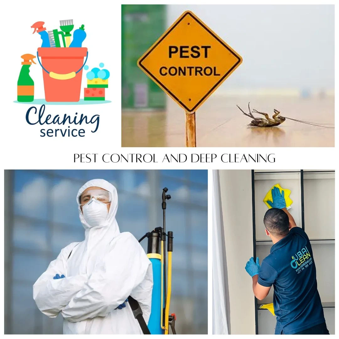 pest control and cleaning services