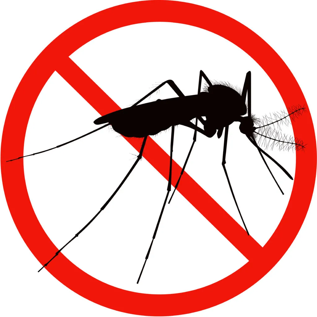 mosquito control chemicals