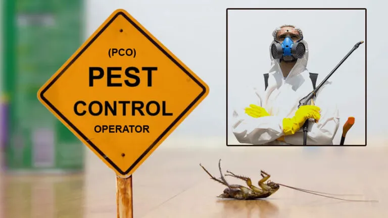 emergency pest control