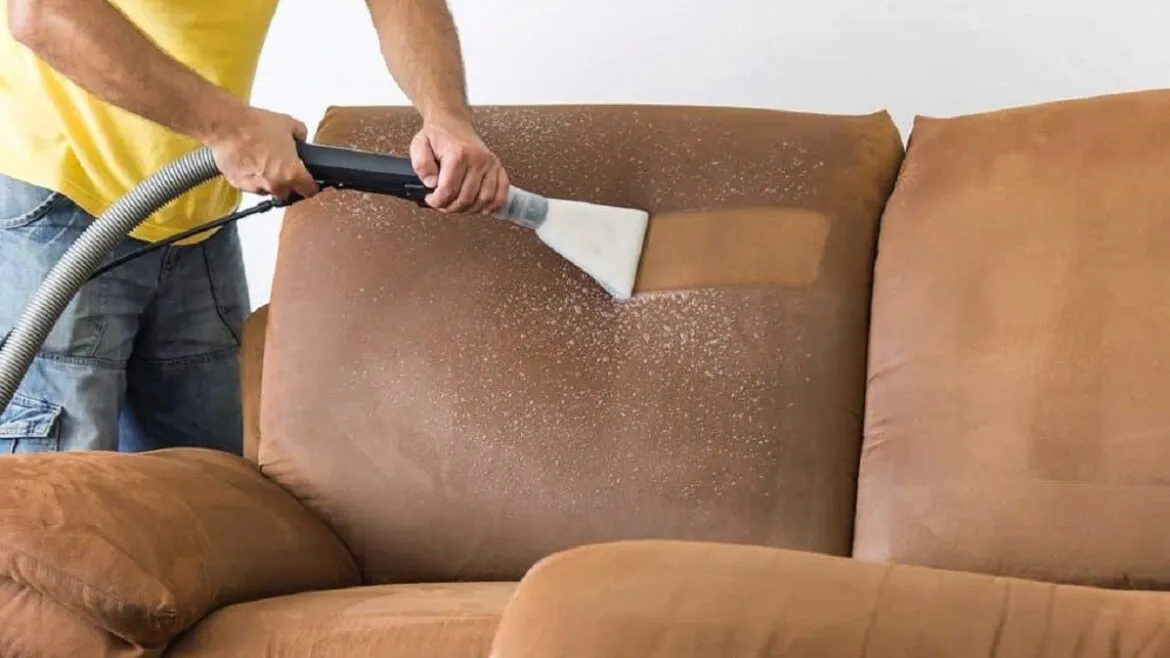 professional furniture cleaning
