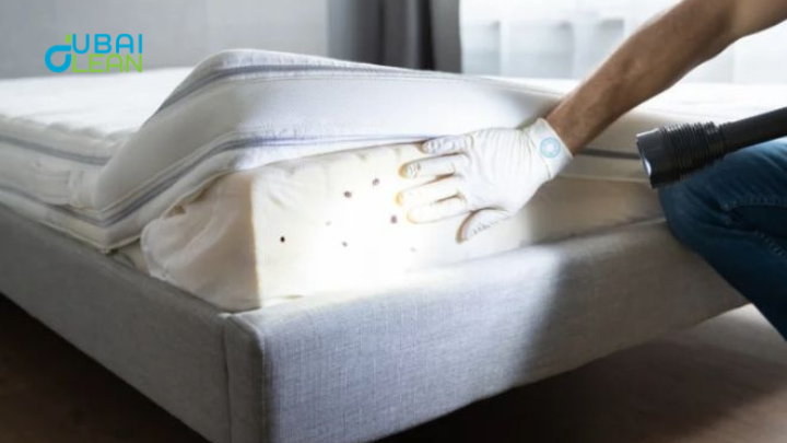 what kills bed bugs instantly