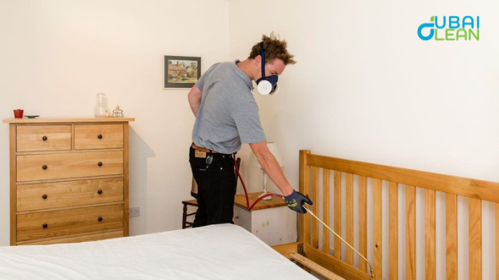 what kills bed bugs instantly