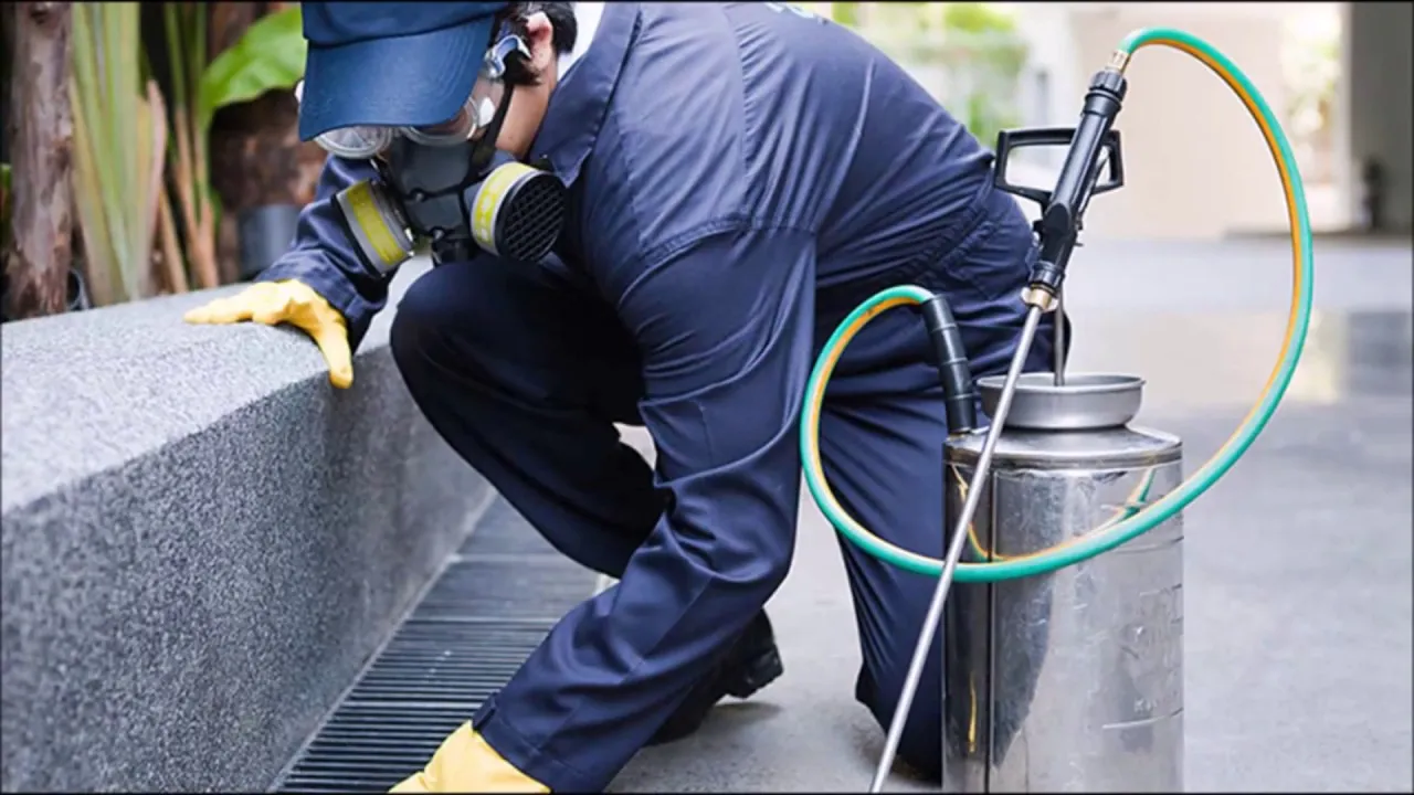 facade cleaning services abu dhabi (2)